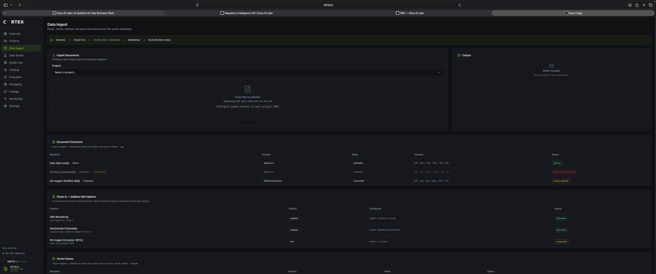 Onyx Forge Dashboard — Data Ingest view showing document processing pipeline, extractors, and vector store configuration